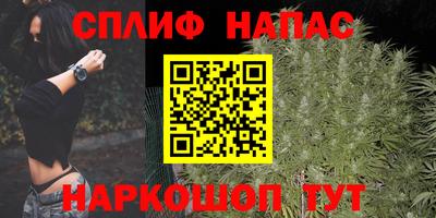 твердый Камышлов