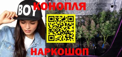 трава Кандалакша